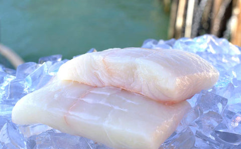 Halibut Fillet | Skinless Refreshed
